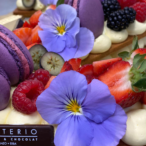 Cream Tart LETTERE Maschili